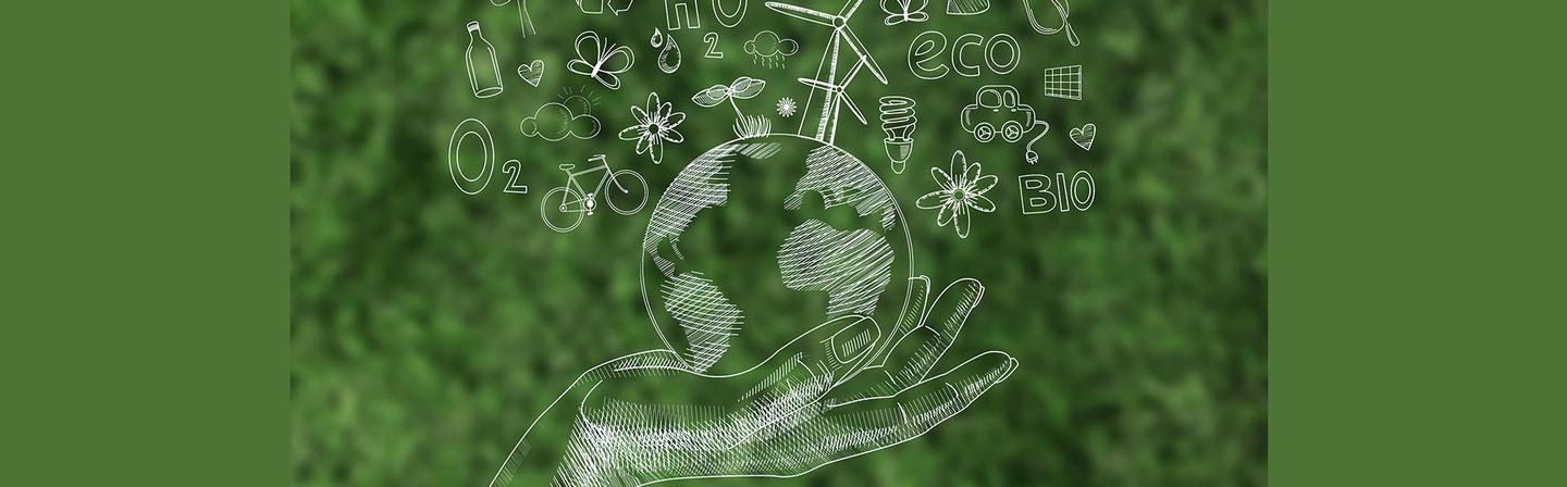 Projection / Autour de la « journée mondiale de la biodiversité »