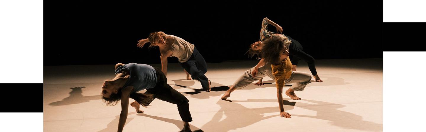Festival de danse 237 / « Des femmes respectables »